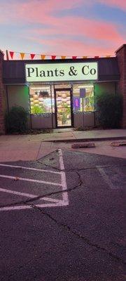 Plants & Co Collective