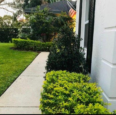 Fresh Look Landscaping & Maintenance