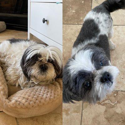 Bright Eyed & Bushy Tailed