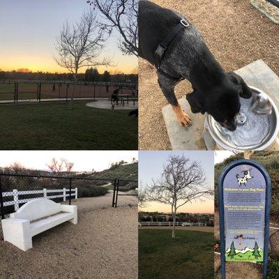 Guenther Willows Park