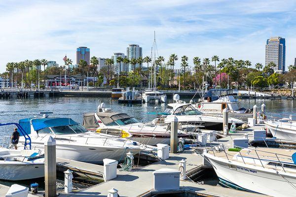 David Harbison - Harbison Group