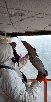 Mike Construction and Design