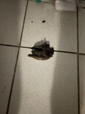 Fred in his most faltering picture!