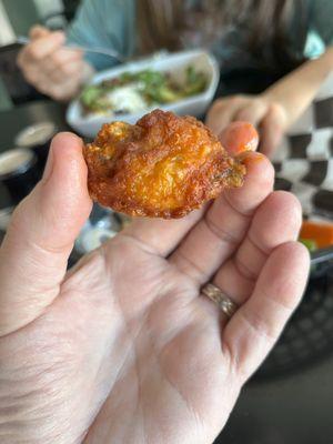 Disappointing wing size.