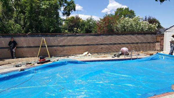 Black Cat Protection Rodent Proofing