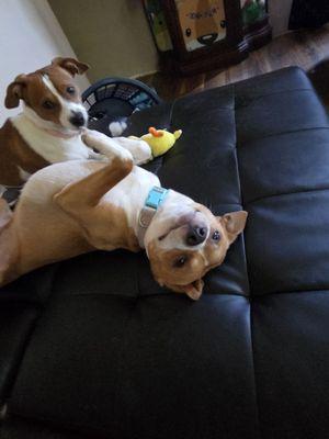 Bayou George Grocery Store