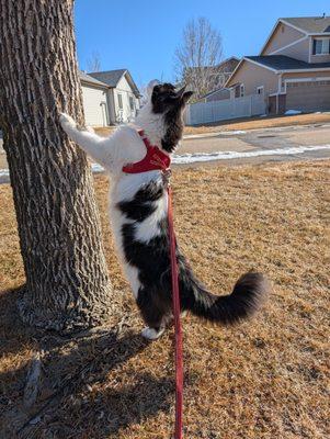 Boulder Sol Chiropractic