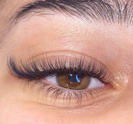 The Amira Experience