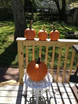 Ronnie's Garden Center