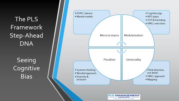PLS Management Consulting
