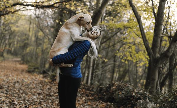 The Charles Denver West