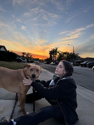 Center Sinai Animal Hospital