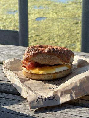 Bellclaire on a Cheddar bagel with Herb cream cheese