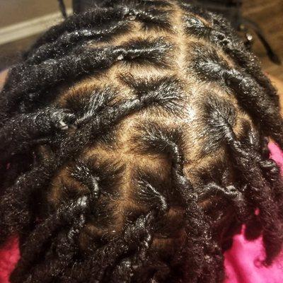 Dreadlocs retwist
