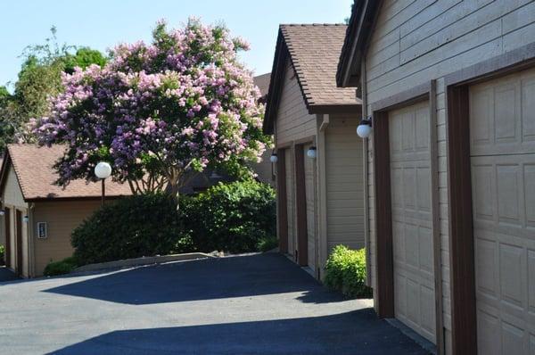 Windsor Court Apartments