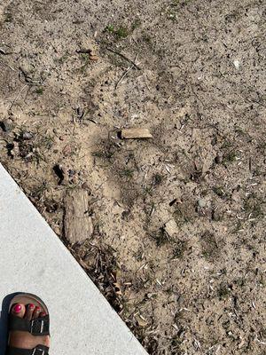 Debris from my previous pool left in my yard