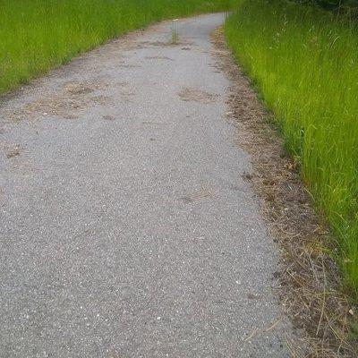 New Walking Path, Mason Paving & Sealcoating