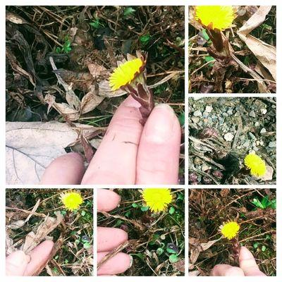 Learn natural herbs on a nature walk.