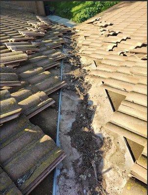 Betos Gardening and More