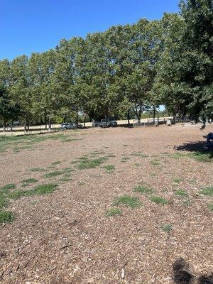 Convenient parking, tan bark and dirt surface.