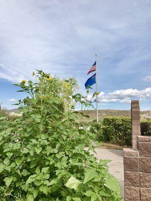 @ Nevada State Park Regional Visitor’s Center - 8/4/17