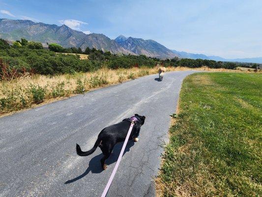 Beacon Hill Park Disc Golf