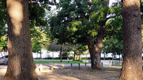 Big Thicket - White Rock Lake