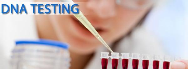 Paternity Testing Chicago il