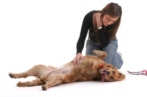 Caring professional Pet Sitters
