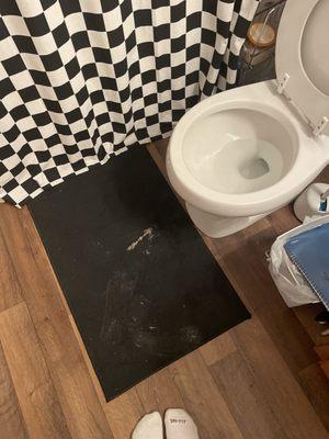 when the maintenance man peed in my bathroom and left the seat up and a mess on my carpet.