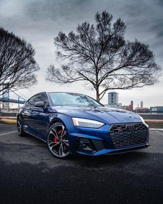 Alex's Premium Auto Detailing