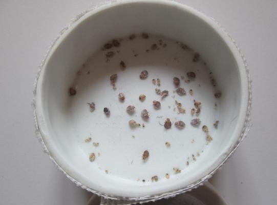 Had to shower and change clothes once we found a new place to rest our heads.