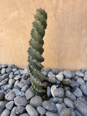 Arteaga's Garden Service