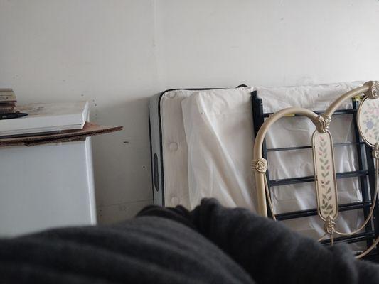 Chest freezer to haul