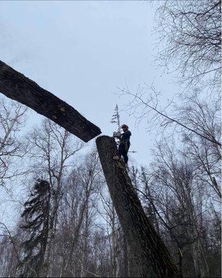 JR Mendez Tree Services & Masonry