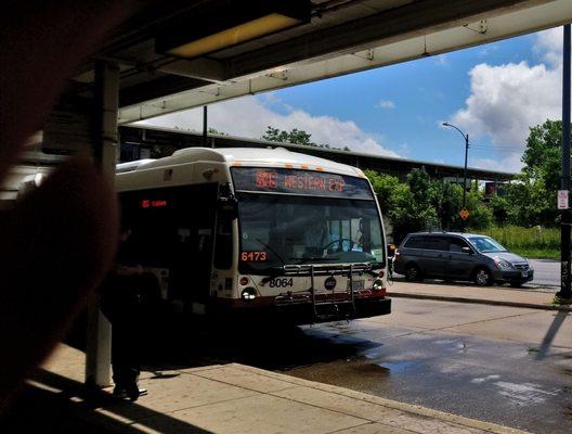 X49 Western Express - CTA Bus