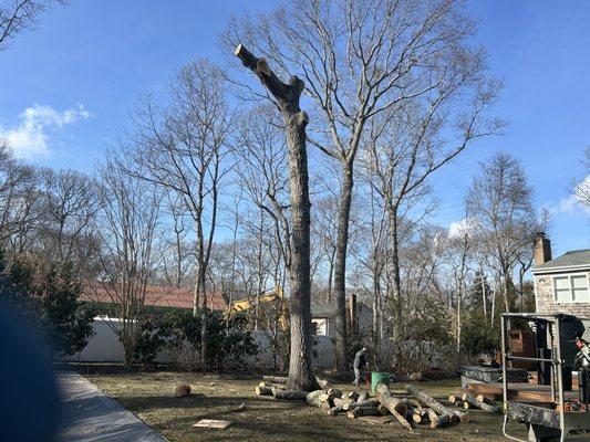 AM Landscape Services