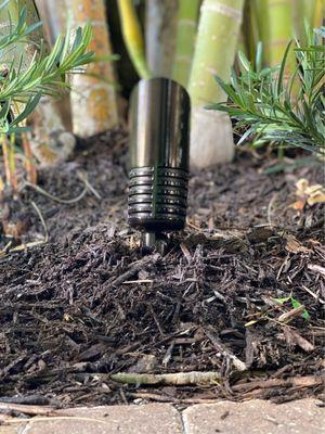 Turf Grass & Landscape