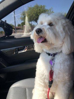 Clean and ready to go play!