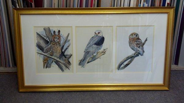 complicated framing projects