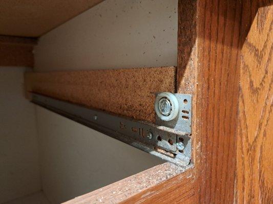 Roach feces caked every surface in the kitchen.