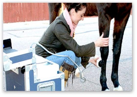 Equine Sport Solutions