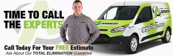 Advanced Pest Elimination