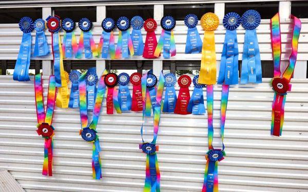 Greenbriar Riding Academy