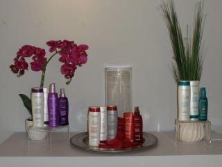 Gina & Friends Hair Design