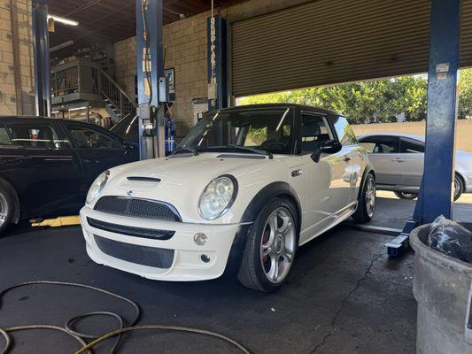 Steve is a Mini Cooper expert