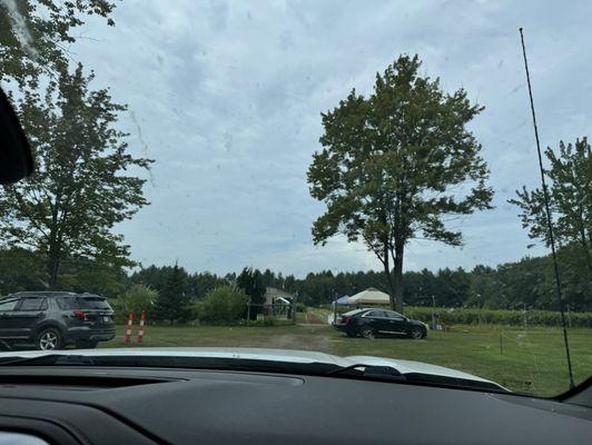 Tawas Blueberry Farm