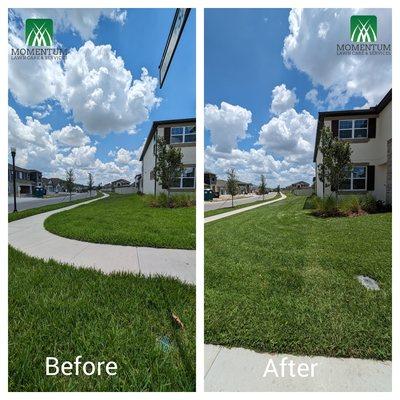 Momentum Lawn Care & Services