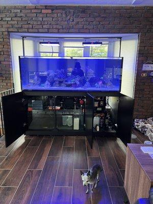 Love The Reef