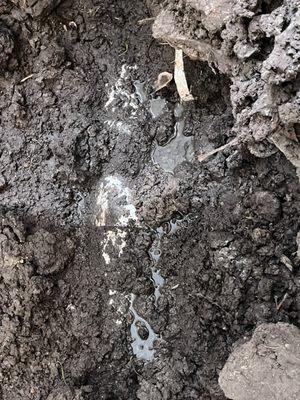 Master Foundation Repair